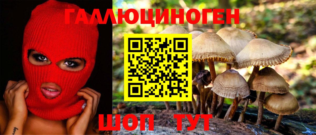 Галлюциногенные грибы Cubensis Курчалой