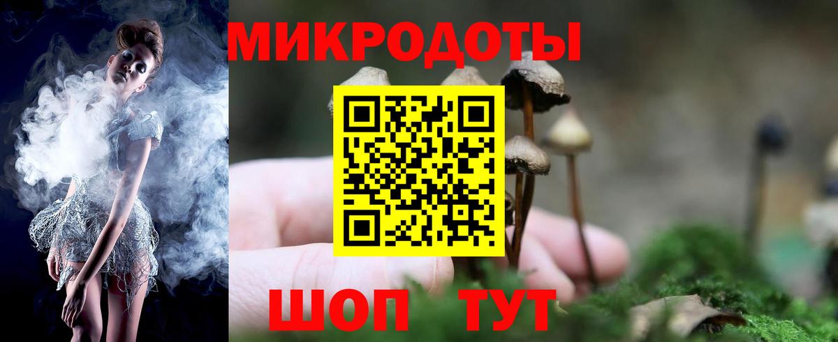 Курчалой  Галлюциногенные грибы ЛСД  Вход с VPN 
