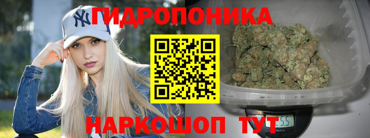 Марихуана марихуана  Марихуана планчик  Канабис THC 21%  Канабис Ganja  Курчалой  Вход с VPN 